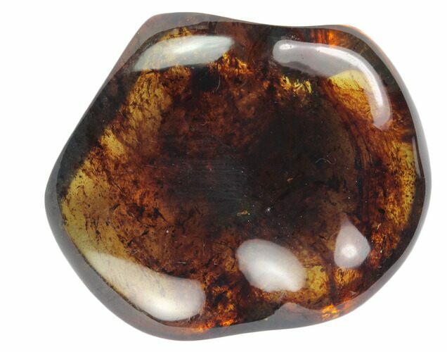 Polished Chiapas Amber ( g) - Mexico #114804
